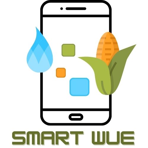 logo Smart WUE